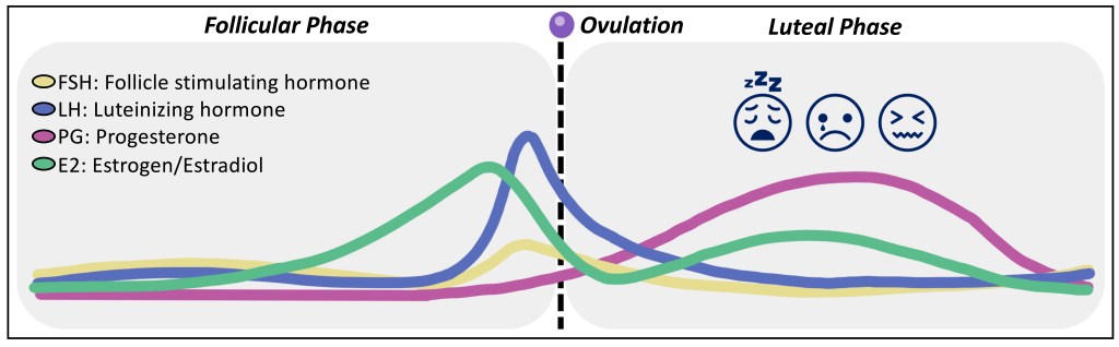 Graphical diagram depicting four, colored horizontal lines that rise and fall to indicate hormone levels of FSH, LH, PG, and E2 during the follicular through luteal phases with ovulation occurring in the middle. Three emoji faces showing expressions of tiredness, sadness, and irritability are pictured on the luteal phase side.